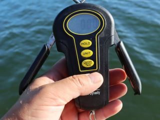 👉 Elektronická Váha Mikado do 50kg 👈 Nový model kvalitní digitální váhy se zesílenými sklápěcími rameny. 🔥 Sklápěcí ramena...